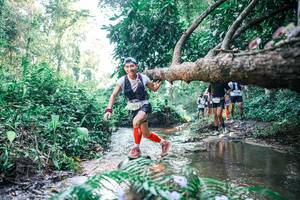 BIB: 
                            <button type="button" onclick="openModal(25438971)" class="btn btn-primary btn-sm float-right btn-popup" data-toggle="modal" data-target=".modal-high-quality">
                        <i class="fas fa-shopping-cart"></i> Add to Cart
                    </button>
                                            <button type="button" onclick="isThisMe(25438971, true)" class="btn btn-success btn-sm float-right btn-popup btn-isme hidden" data-toggle="tooltip" data-placement="bottom" title="นี่คือรูปของคุณใช่ไหม คลิกที่นี่เพื่อเอาเข้าอัลบั้ม">
                        <i class="fas fa-plus"></i> Add to album
                    </button>
                    <button type="button" onclick="isThisMe(25438971, false)" class="btn btn-warning btn-sm float-right btn-popup btn-isnotme hidden">
                        <i class="fas fa-ban"></i> Remove from album
                    </button>